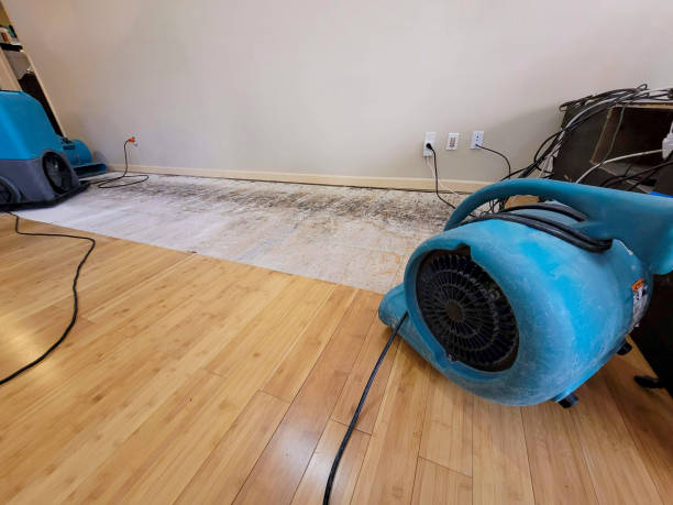 Professional Structural Drying technician working in Bridgewater, VA