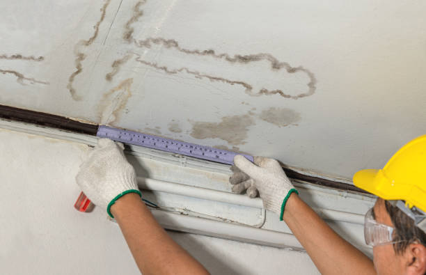 Affordable Structural Drying solutions in Bridgewater, VA